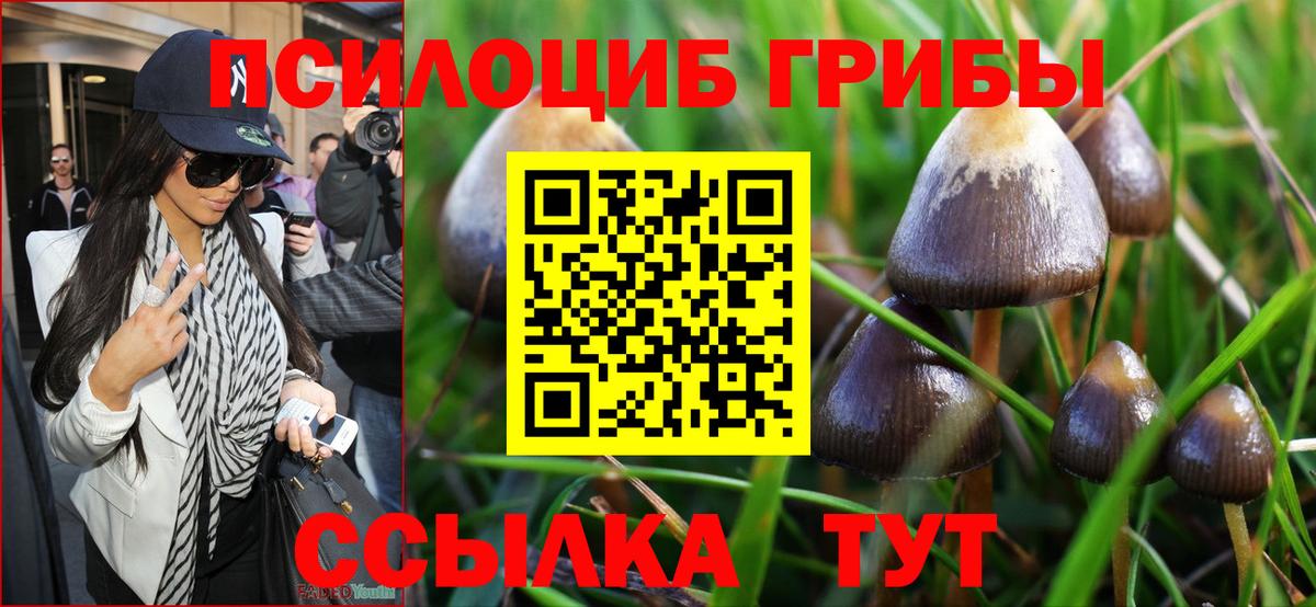 Псилоцибиновые грибы Cubensis Южноуральск