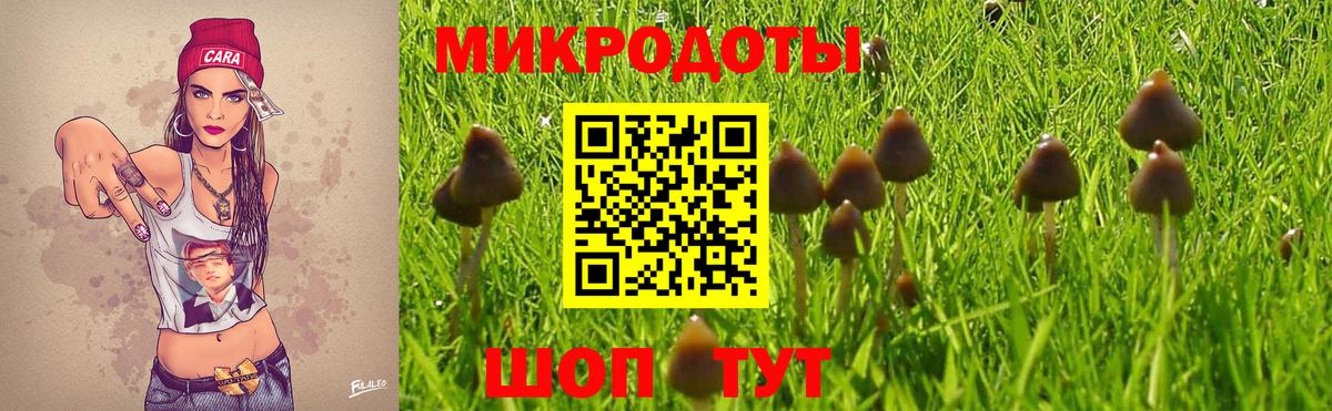 Южноуральск  Галлюциногенные грибы MAGIC MUSHROOMS  Псилоцибиновые грибы прущие грибы  Вход с VPN 
